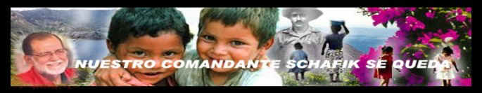 Bienvenido a simpatizantesfmln.org