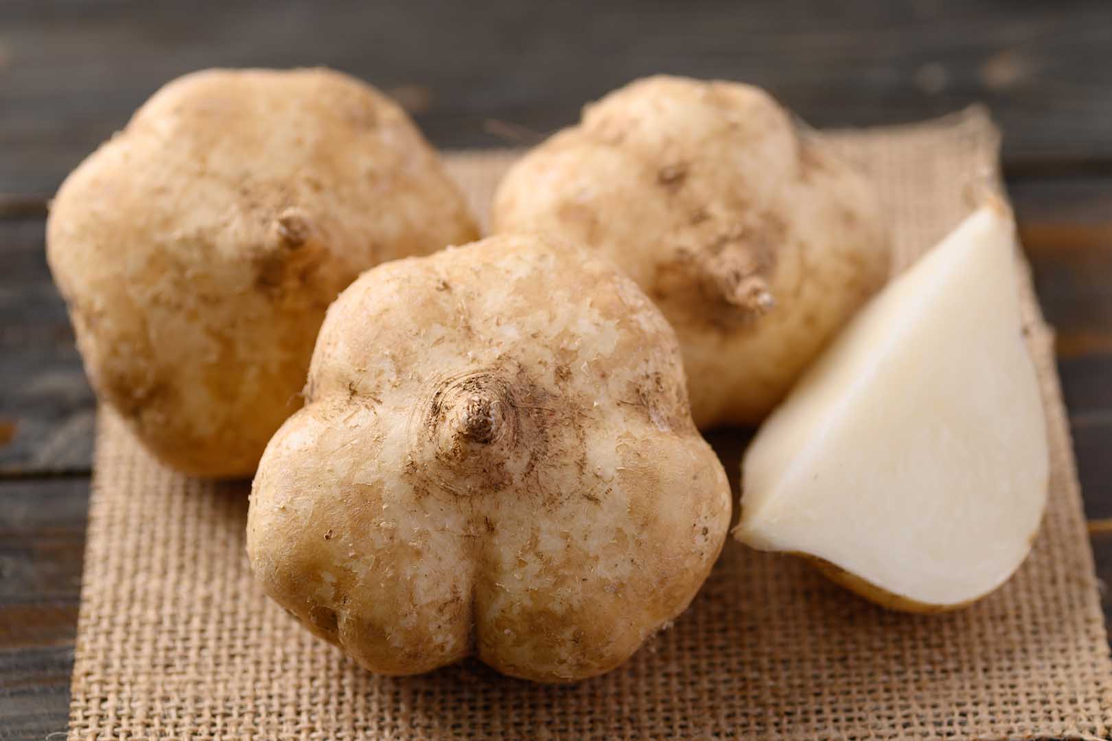 Manfaat Buah Bengkuang: Umbi dengan Khasiat Prebiotik - Jovee.id