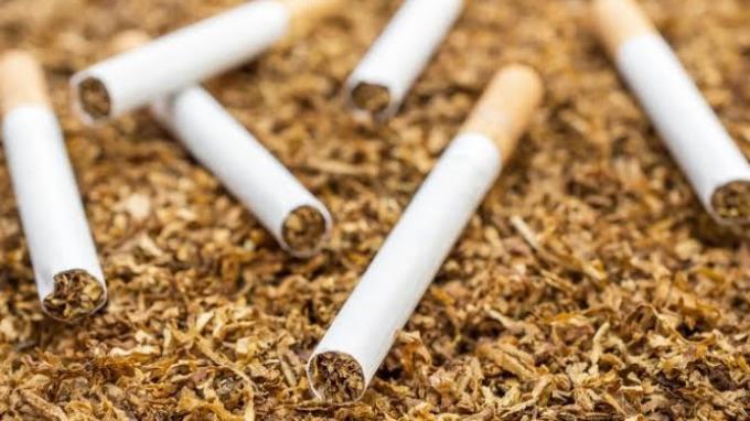 Banyak Orang Tahu Merokok Itu Tidak Baik Dan Tidak Sehat Tapi Masih Banyak Yang Terus Melakukannya